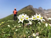 Laghi di Ponteranica dai Piani dell’Avaro con splendide fioriture – 9 giugno 25 - FOTOGALLERY